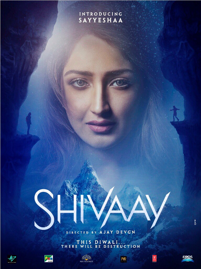 Shivaay (2016) Hindi Movie DVDRip Download